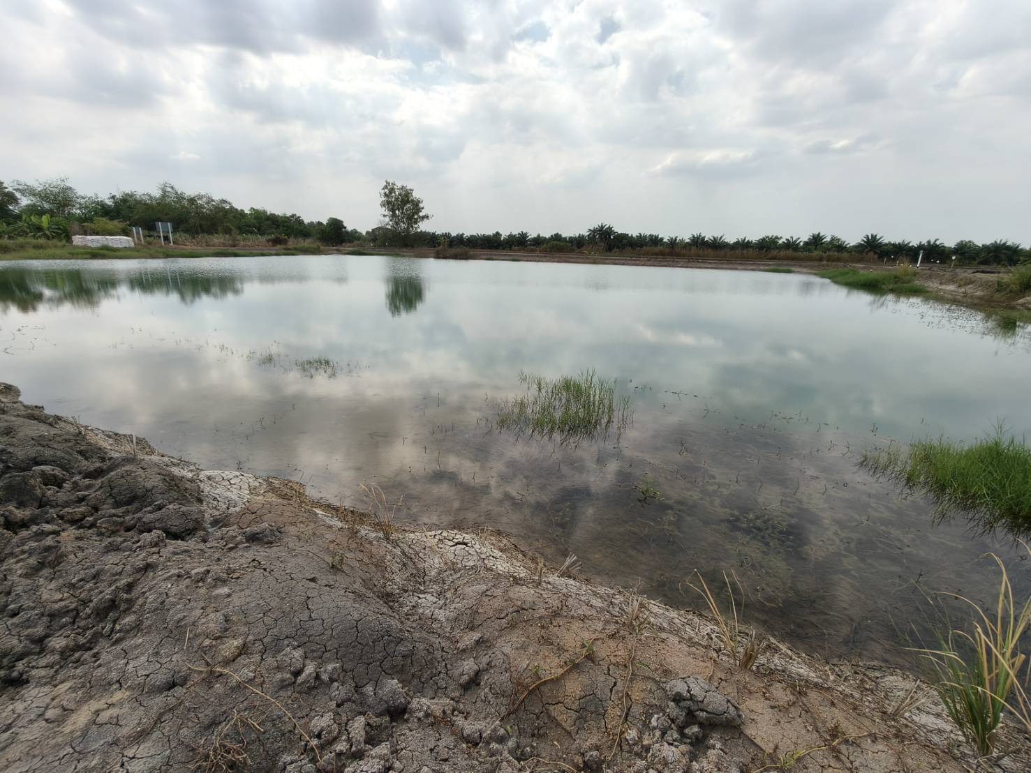 title - ผู้ตรวจราชการ ส.ป.ก. ประชุมตรวจติดตามความก้าวหน้าผลการดำเนินงานตามแผนการตรวจราชการ ประจำปีงบประมาณ พ.ศ. 2569 รอบที่ 1 เขตตรวจราชการที่ 1 จังหวัดพระนครศรีอยุธยา